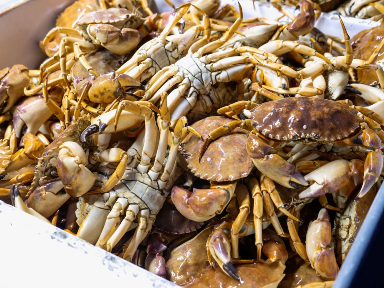 The Right Way to Cook a Live Brown Crab