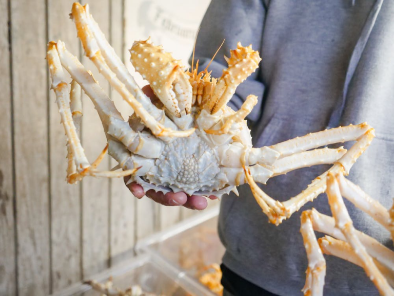 A Complete Guide to Expert-Level Live King Crab Cooking